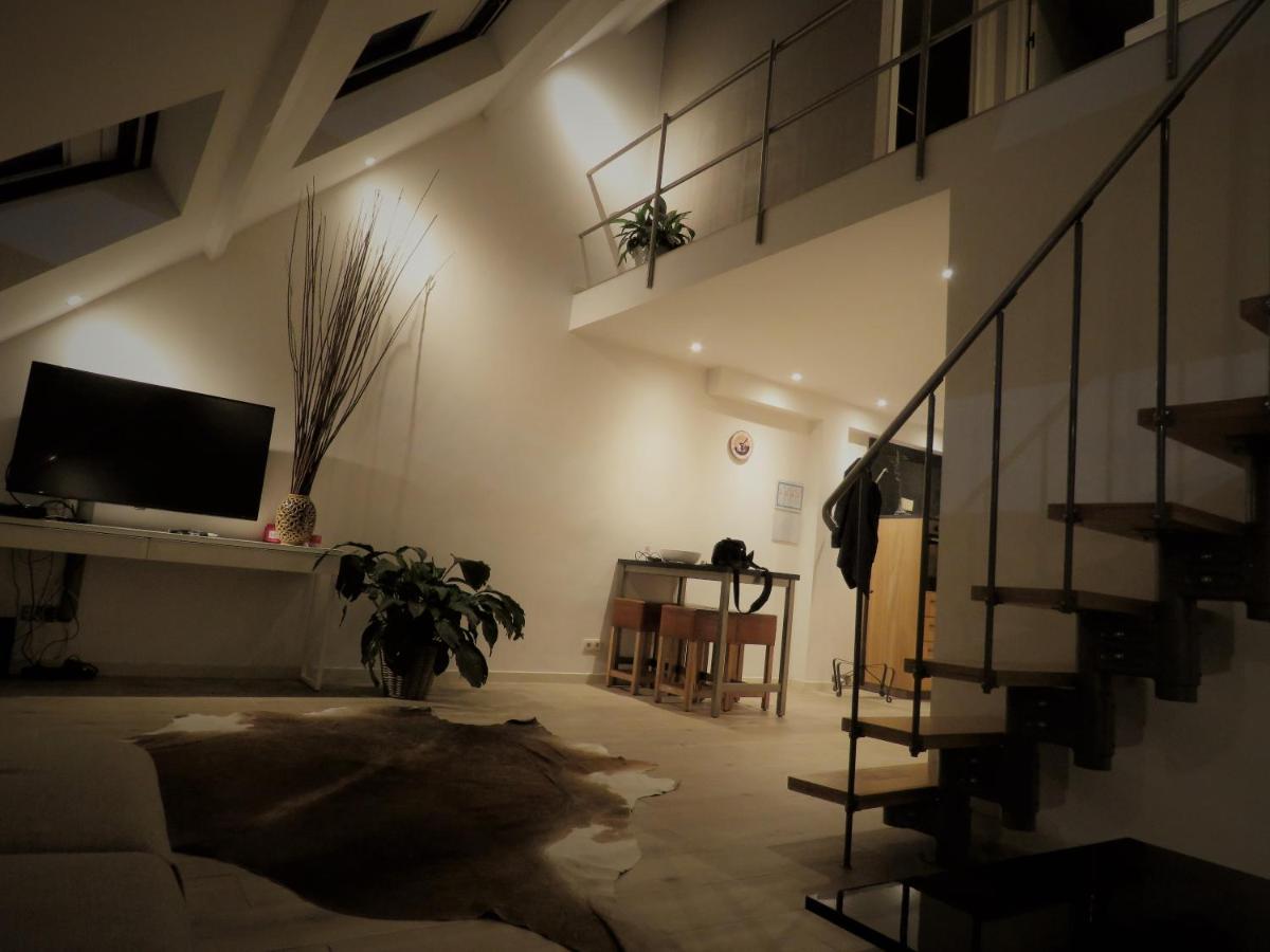 Villa Einstein Apartments Anvers Extérieur photo