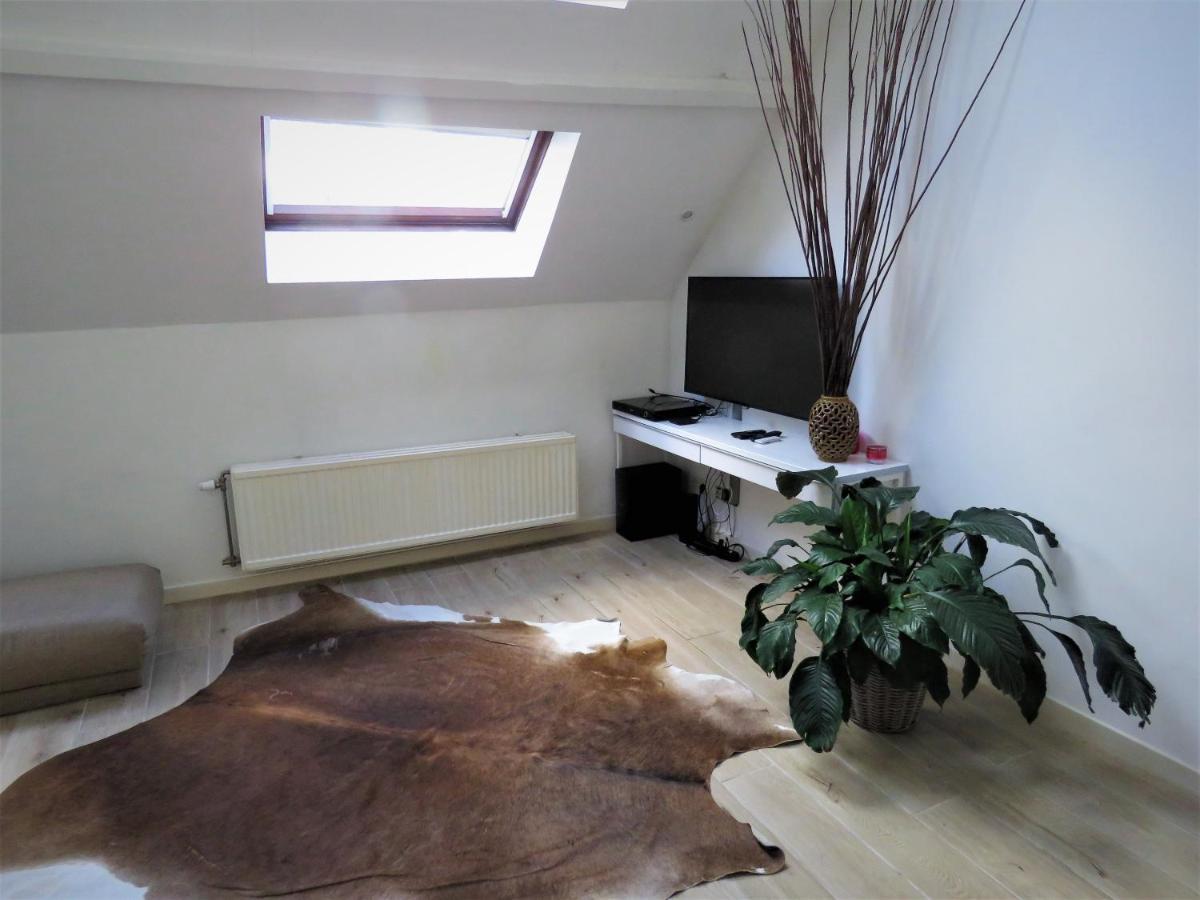 Villa Einstein Apartments Anvers Extérieur photo